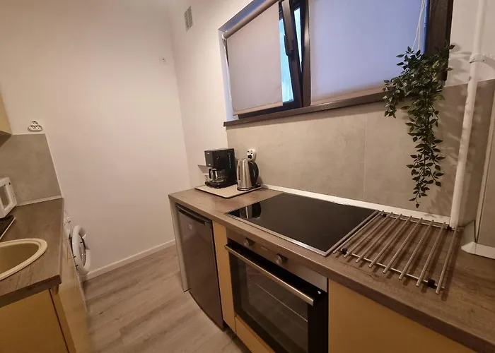 Victoriei Downtown 91-93 Бухарест